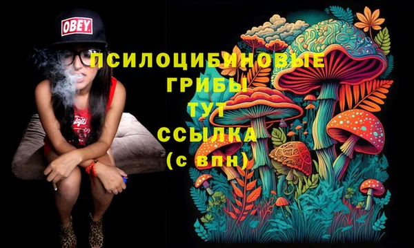 каннабис Бородино