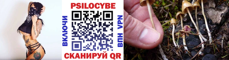 сайты даркнета Telegram  hydra ссылка  Октябрьский  Псилоцибиновые грибы Psilocybe 